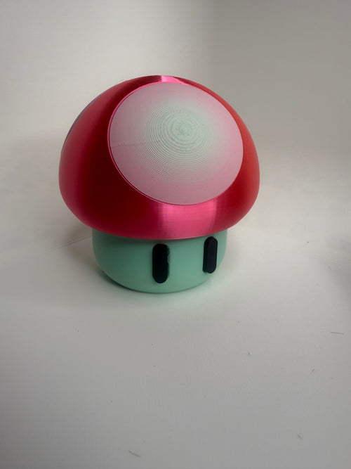Mushroom PiggyBank