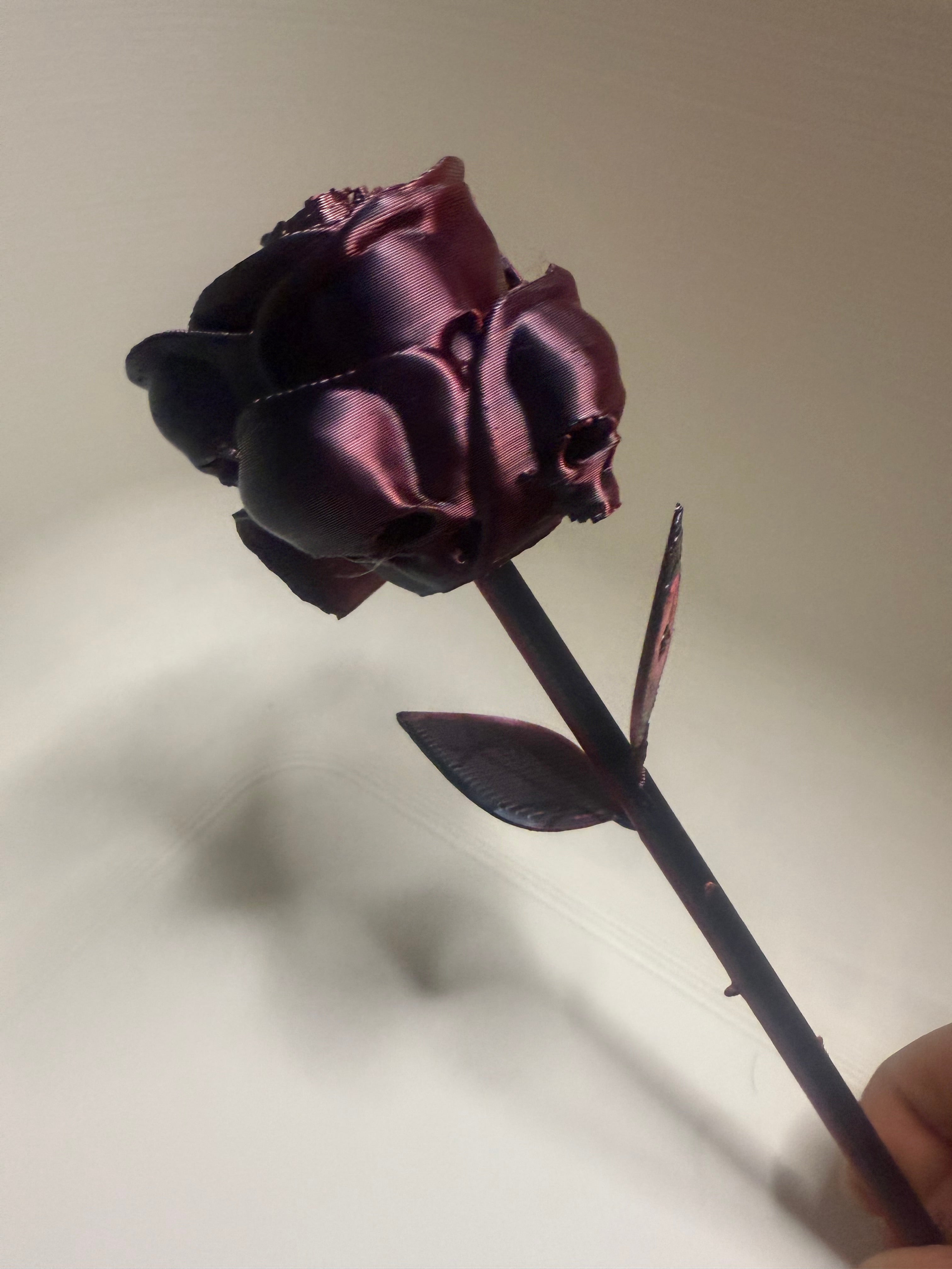 Skull Rose